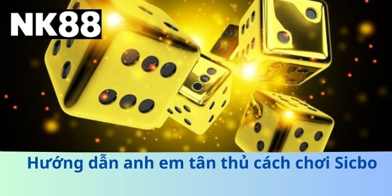 Hướng dẫn anh em tân thủ cách chơi Sicbo